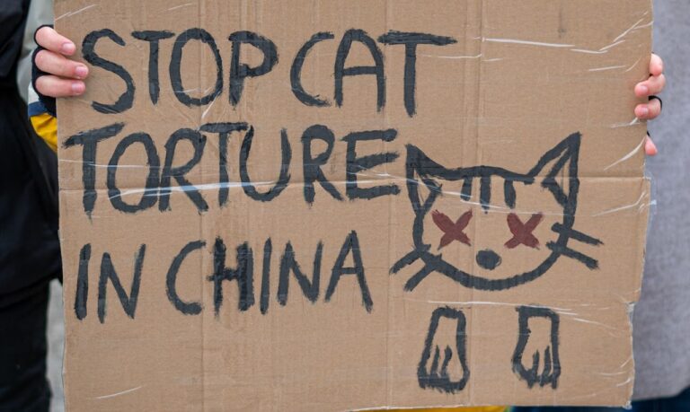Urgent Action Number Three