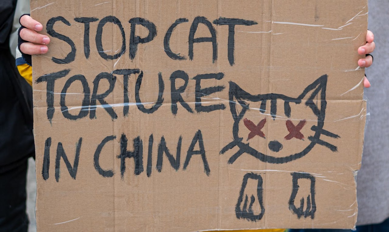 Urgent Action Number Three